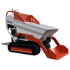 Dw170f 500kg Hydrau Transmissus salsissimus vir vivens Crawler mini Dumper 